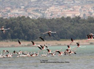 Τη σημερινή Παγκόσμια Ημέρα Υγροτόπων γιορτάζει το Κέντρο Περιβαλλοντικής Εκπαίδευσης Ακρωτηρίου