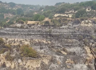 Πυρκαγιά στην Πάφο: Μέσα από τις στάχτες αναδύθηκε η γύμνια μας