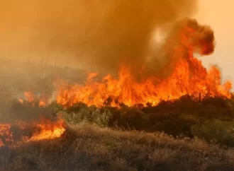 Δράσεις για πρόληψη των ζημιών από πυρκαγιές – Άλλες €800.000 για την προστασία των δασών