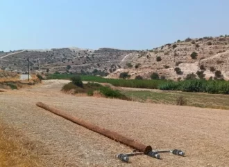 Αιολικό πάρκο ανεγείρουν σε κρατικό δάσος Natura – Διαπιστώνονται παραβάσεις (εικόνες)