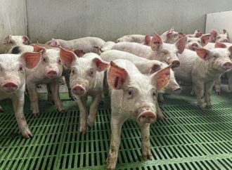 Ξεκίνησαν οι εμβολιασμοί, αναμένεται σήμερα παραλαβή ακόμα 50 χιλ. δόσεων εμβολίων