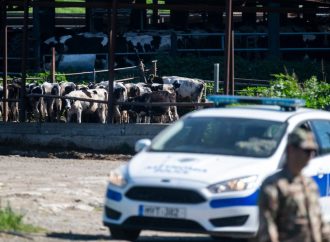 Εντοπίστηκαν νέα κρούσματα αφθώδους πυρετού σε Γέρι και Δάλι