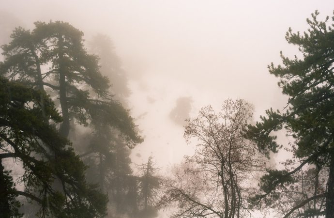 Σε ιστορικά ψηλά επίπεδα τα αέρια θερμοκηπίου στην Κύπρο